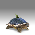 TurtleHopper.jpg